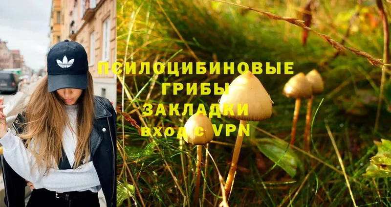 Псилоцибиновые грибы Magic Shrooms  omg ONION  Кумертау  цена наркотик 